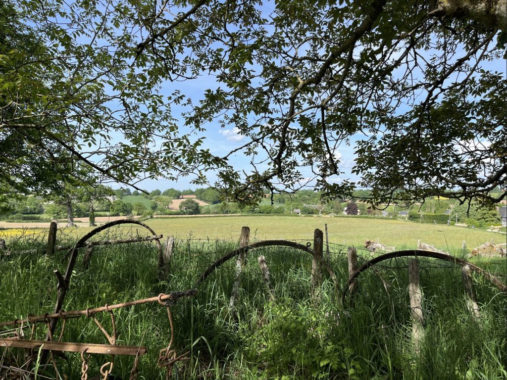 Les Jardins de Jade - Près de Rodez - GGL Aménagement